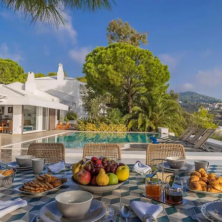 别墅 Super Luxury Skiathos Seven Stunning Bedroom Daphne *